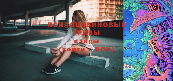 МДПВ Алексеевка