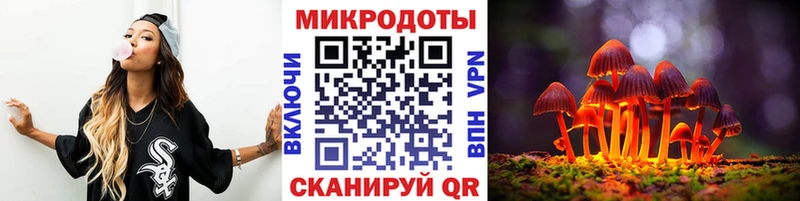 Псилоцибиновые грибы Psilocybine cubensis  Красный Кут 
