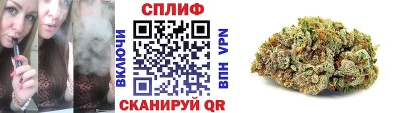 Каннабис планчик  Красный Кут 